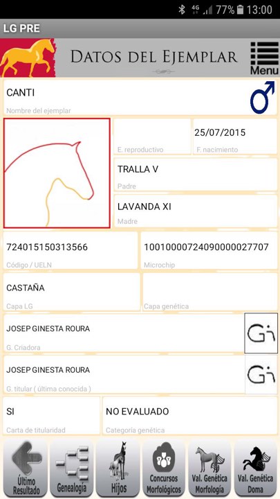 Caballo en Venta